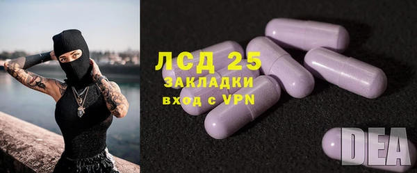 ГАЛЛЮЦИНОГЕННЫЕ ГРИБЫ Белоозёрский