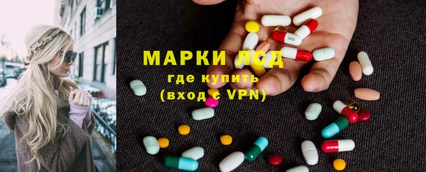 ГАЛЛЮЦИНОГЕННЫЕ ГРИБЫ Белоозёрский