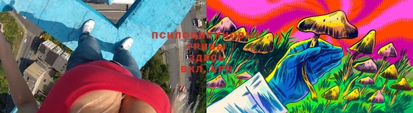 синтетический гашиш Беломорск