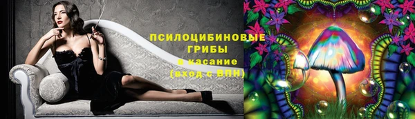 ГАЛЛЮЦИНОГЕННЫЕ ГРИБЫ Белоозёрский